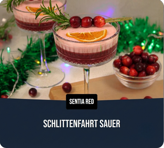 Schlittenfahrt Sauer