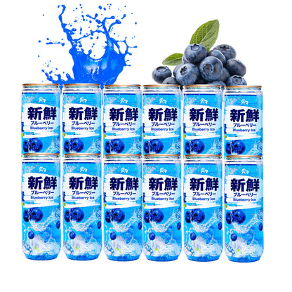 Asia - Blueberry Ice 3er| 12er & 24er 330ml Packung